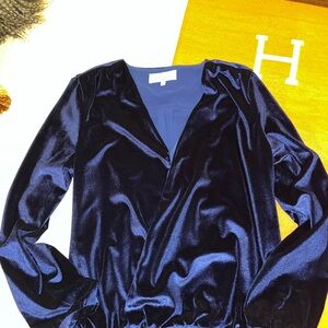 L'Academie Royal Blue Velvet Top